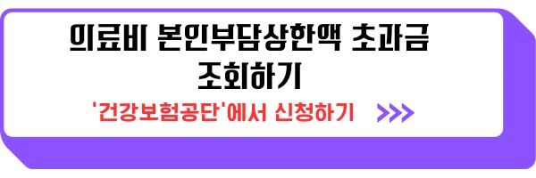 의료비 본인부담상한액 초과금 조회 환급 신청하는 방법