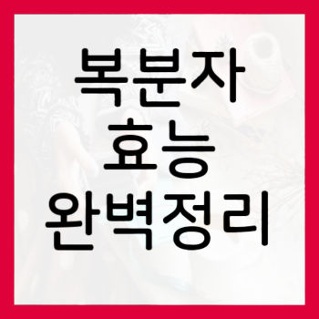 복분자-효능-썸네일