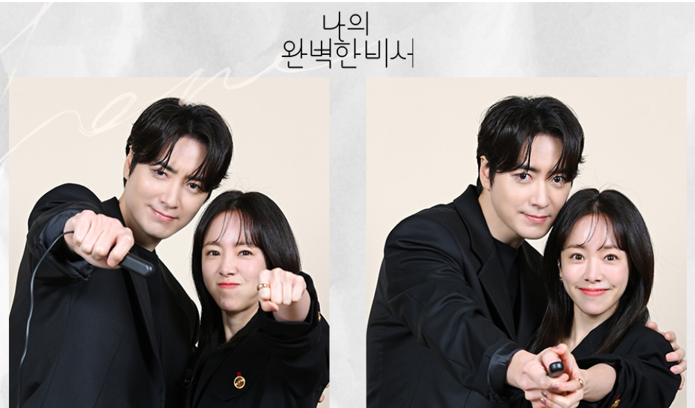 나의 완벽한 비서