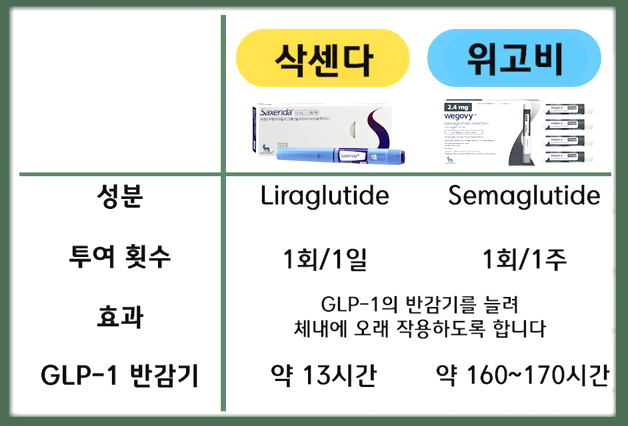 삭센다 위고비 그림