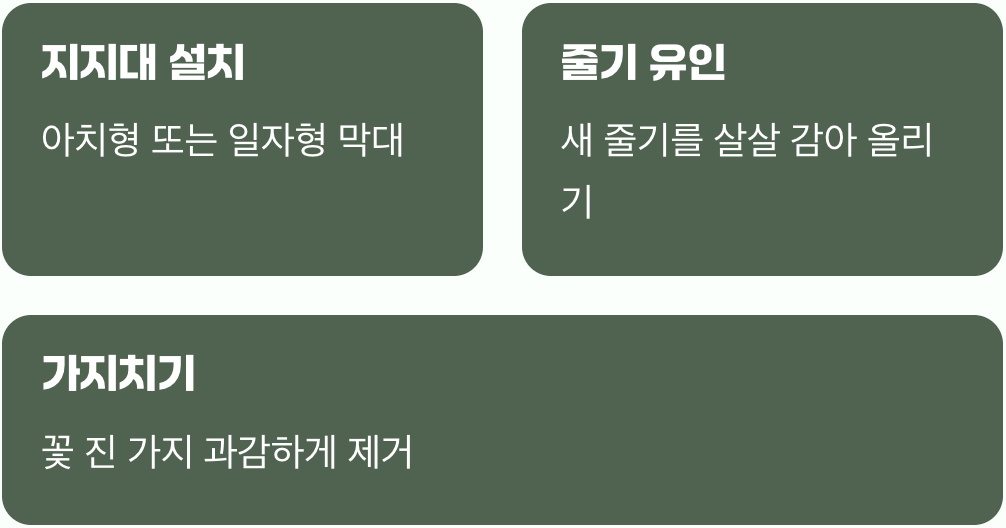 더 풍성하고 아름답게, 지지대와 가지치기