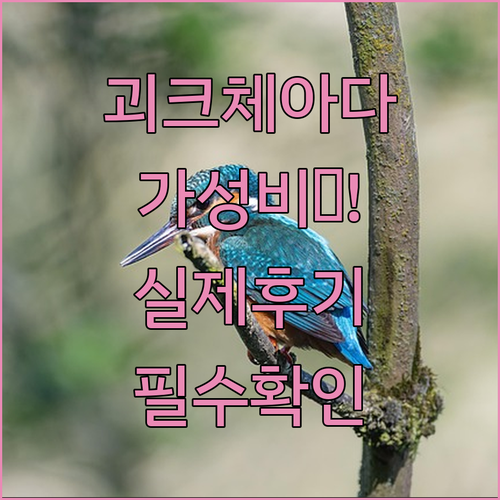 실제 여행객이 추천하는 튀르키예 괴크..