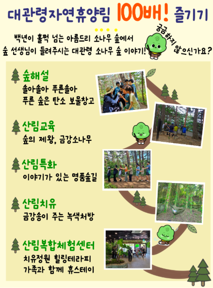 대관령 자연휴양림 캠핑, 데크, 휴양관, 숲속의집, 맛집 완벽가이드 한눈에!