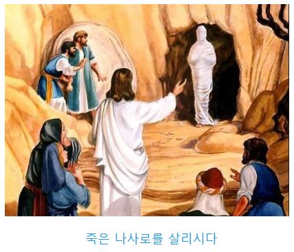 요한복음 11장