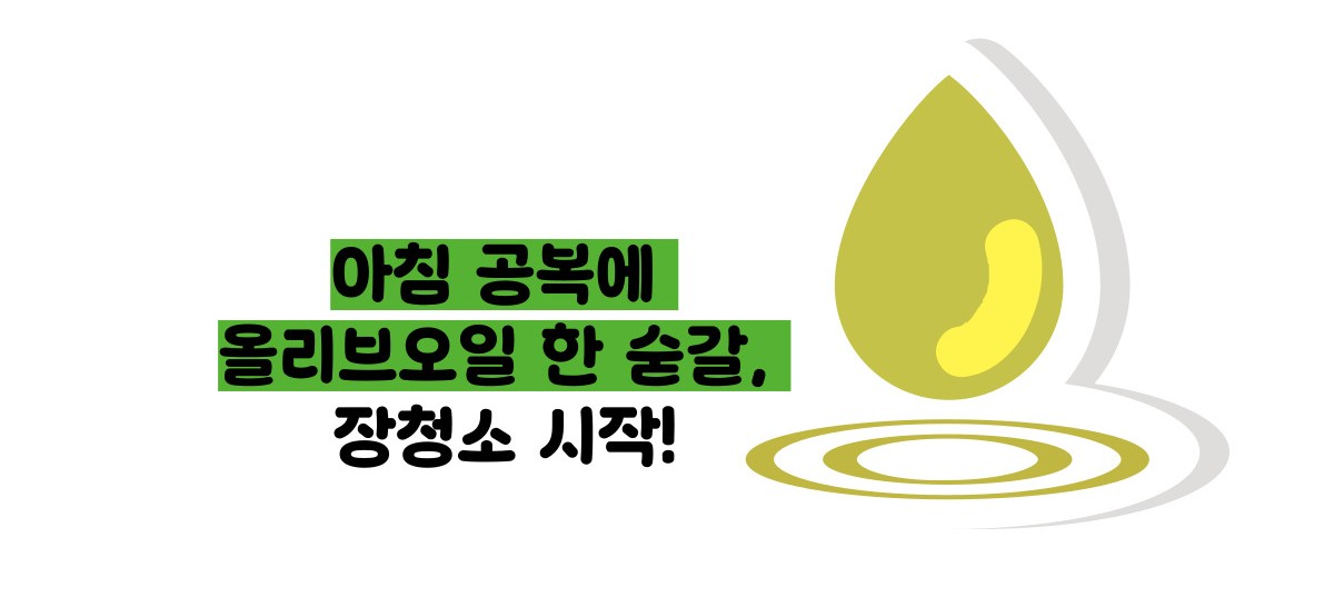 올리브오일 효능