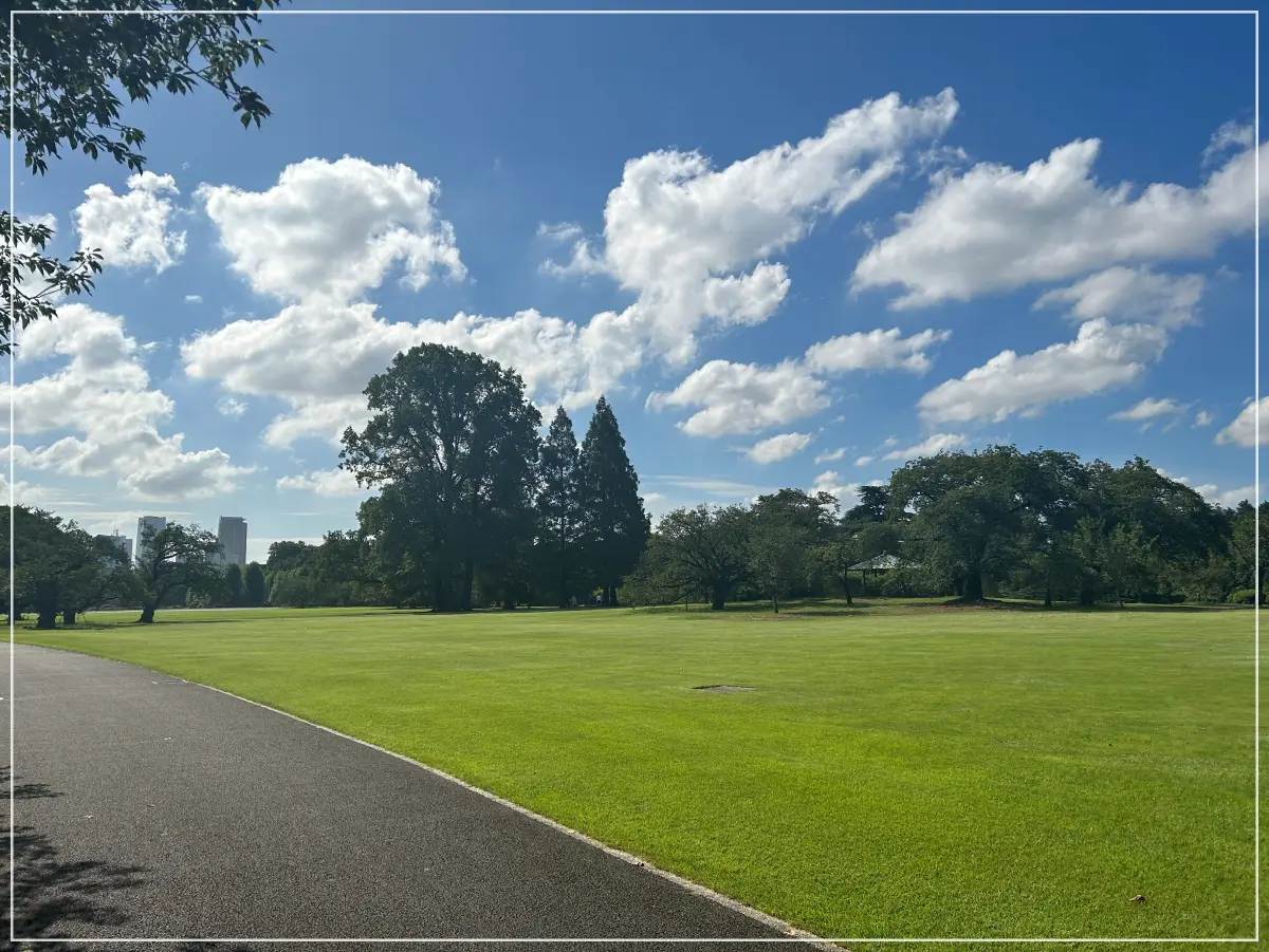 도쿄-신주쿠-쿄엔-여름-풍경-푸른-잔디-사진