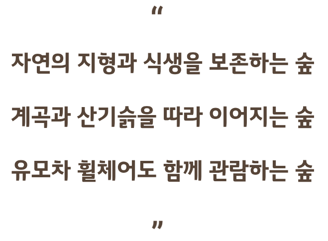 화담숲 모노레일 관련 사진