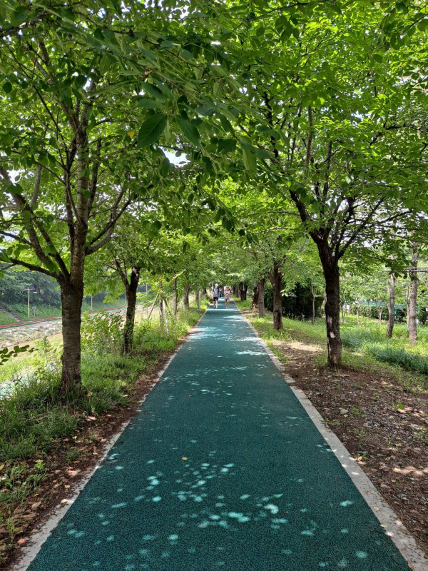 시민의숲 직선 산책로