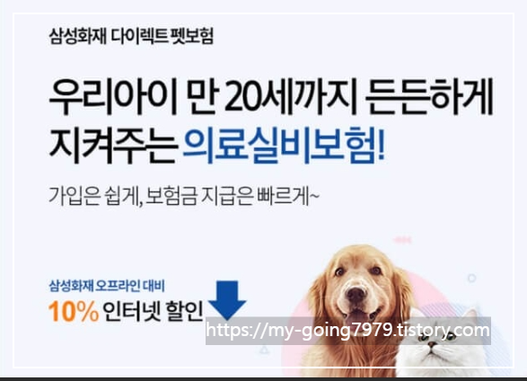 펫보험가입고민이라면2025년반려동물보험BEST5추천