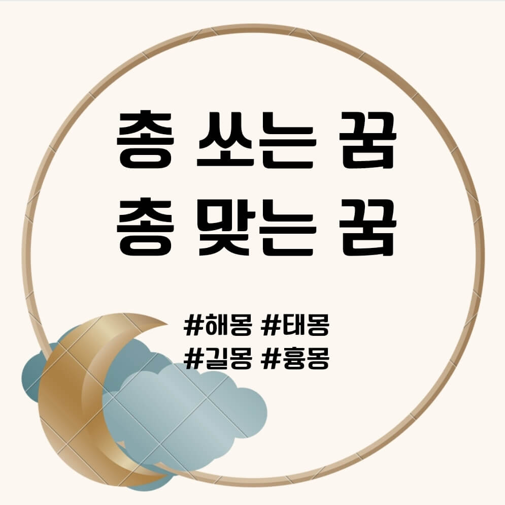 총 쏘는 꿈, 총 맞는 꿈 문구의 포스터