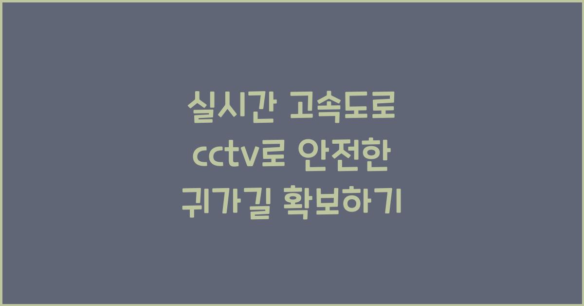 실시간 고속도로 cctv