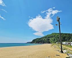 전국 해수욕장 개장