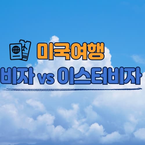 비자와 이시터비자 차이, 어떤 것이 유리할까?