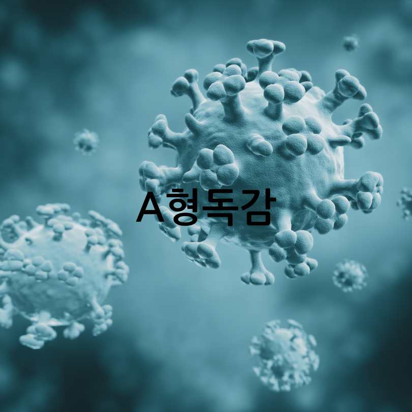 A형독감과 B형독감 차이