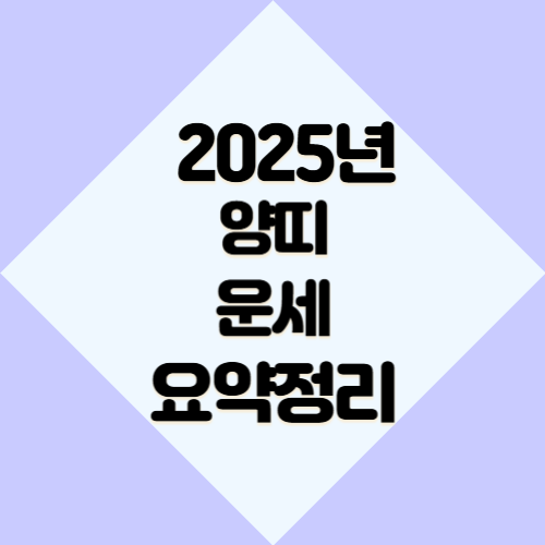 2025년 양띠 운세 요약정리