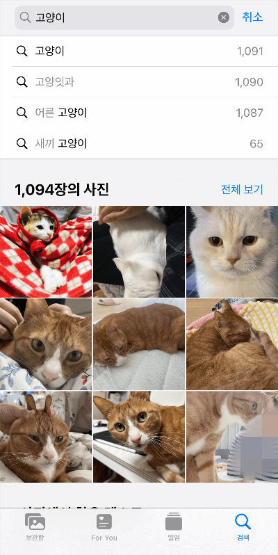 아이폰-사진-검색기능