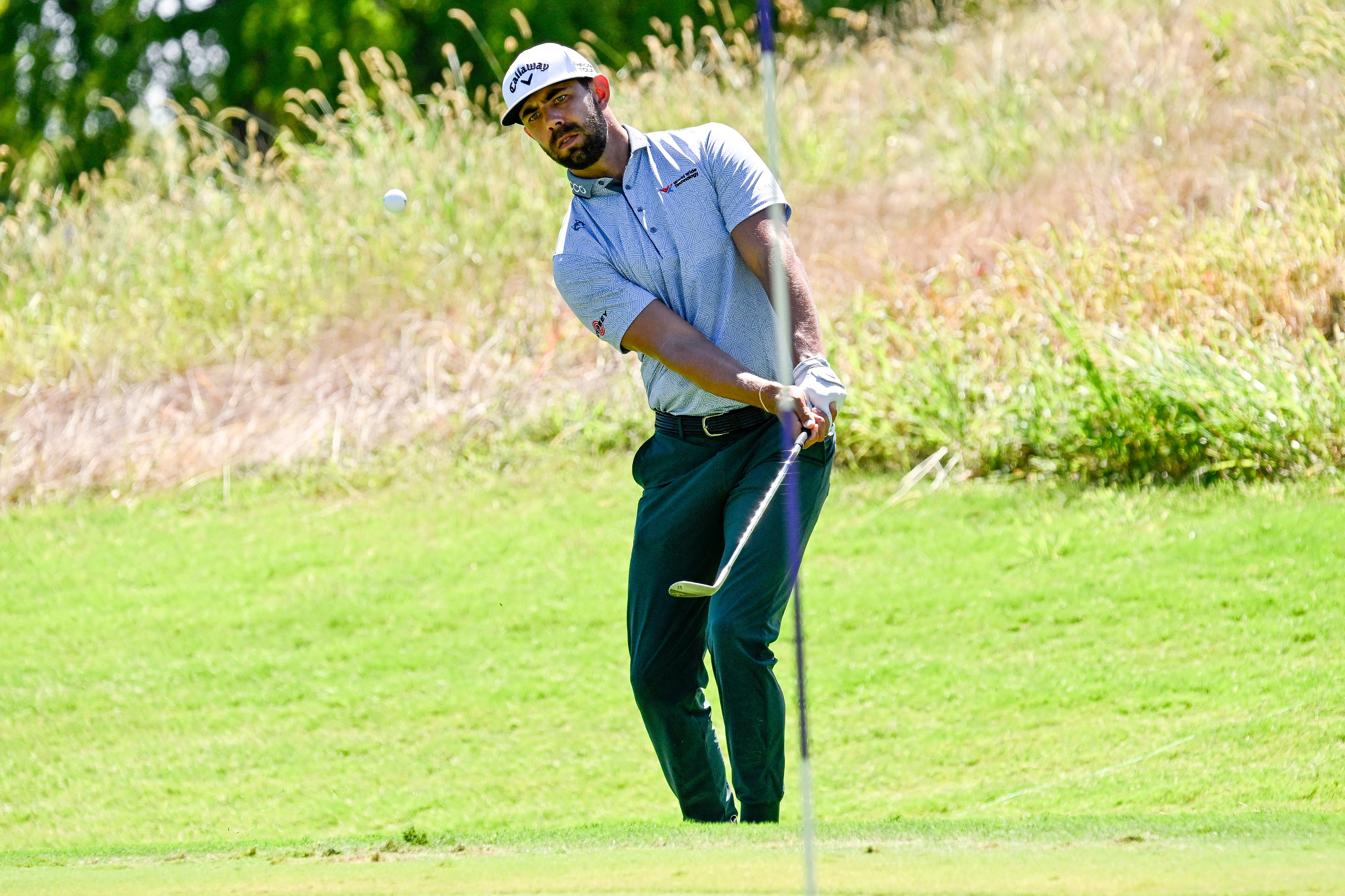 멕시코 오픈 앳 비단타월드