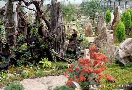 베어트리파크 철쭉제 봄과 철쭉