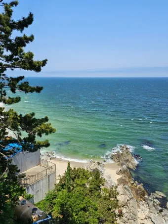 5월 동해 바다낚시 최고 추천 어종과 인기 포인트 완벽 총정리_7