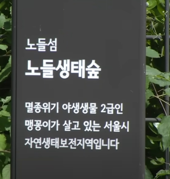 노들생태숲