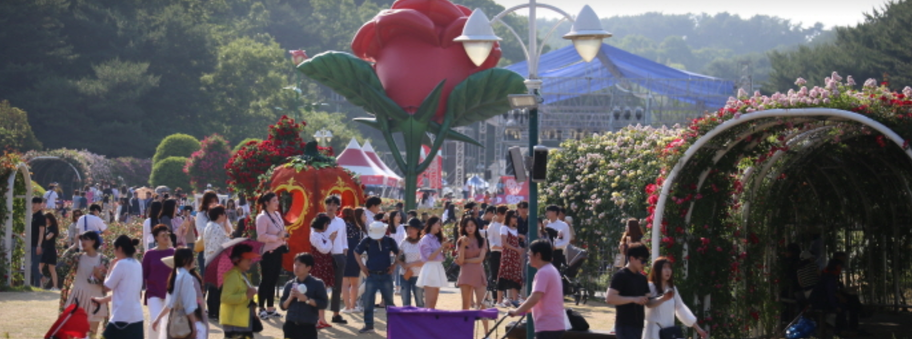 울산 5월 어린이날 300만송이 장미축제 와 울산대공원 놀이시설 이용