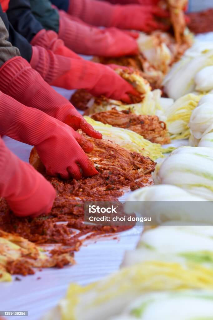 절임배추 20kg 몇포기 가격
