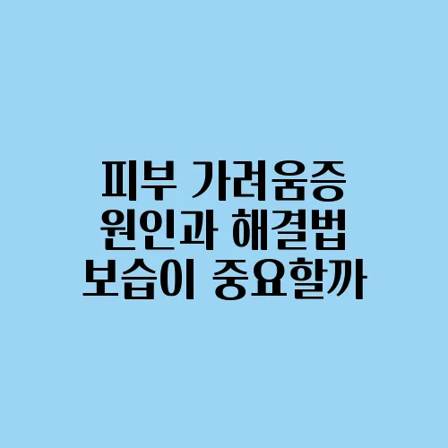 피부 가려움증 원인과 해결법 보습이 중요할까