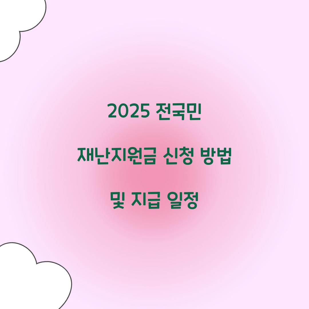 2025 전국민 재난지원금 신청