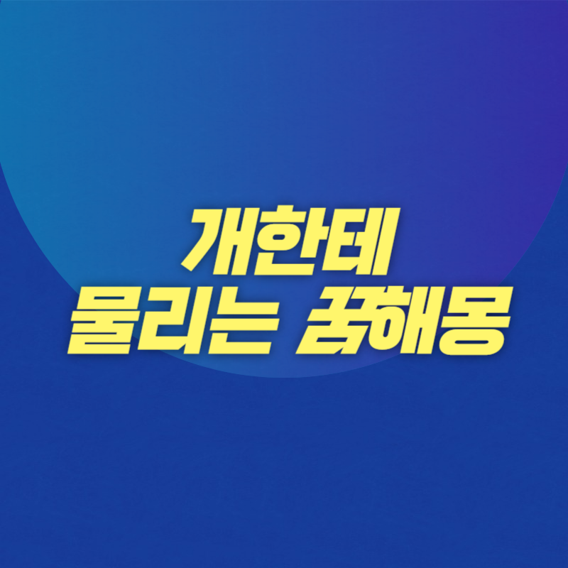 개한테 물리는 꿈해몽