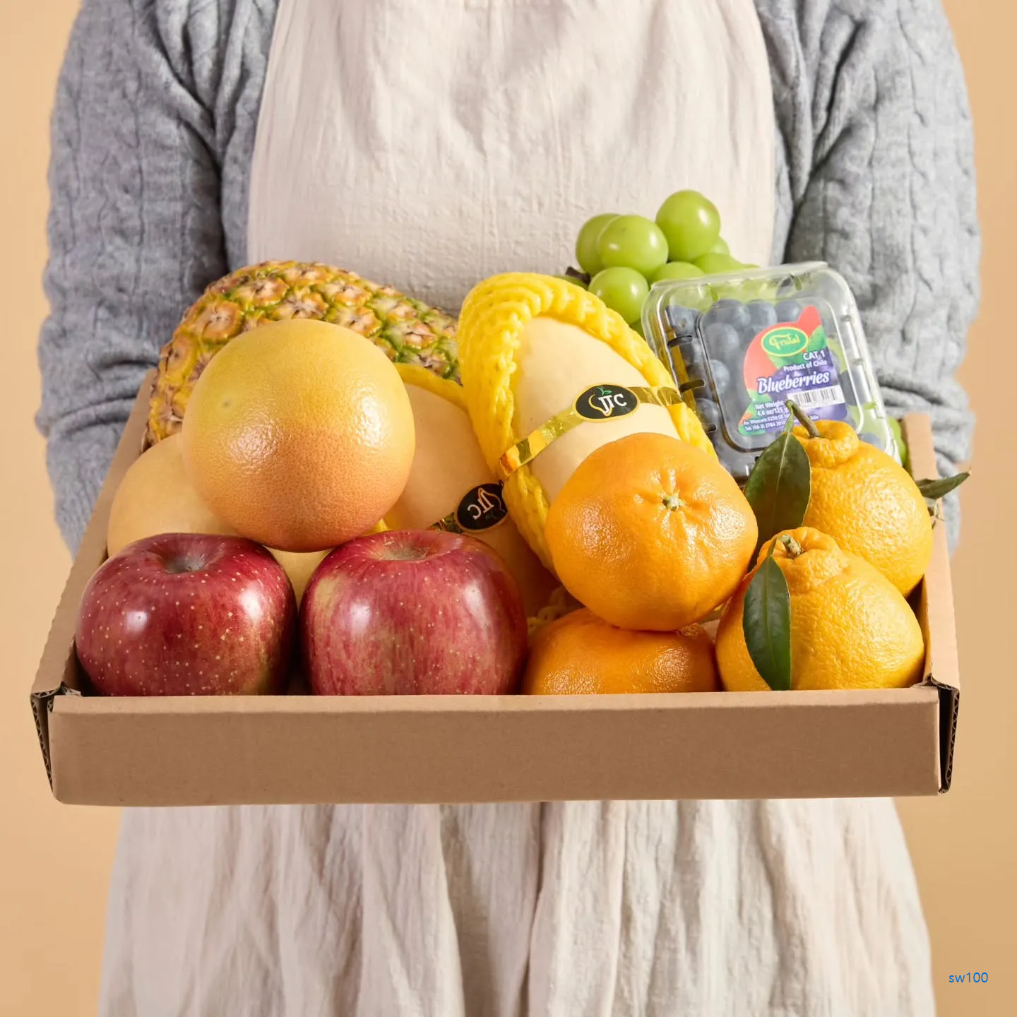 델푸릇 살펴보기 2