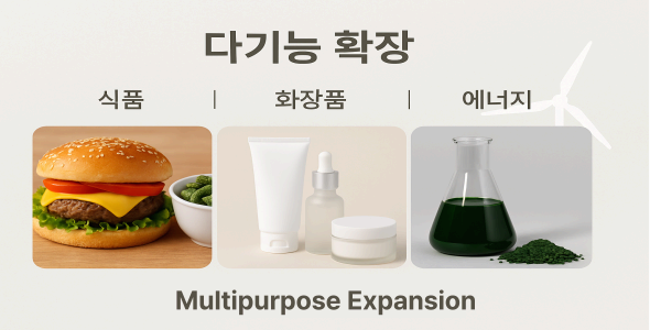 식품을 넘어, 산업 전반에 확산되는 미세조류