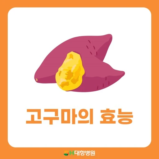 고구마의 효능 이미지 입니다.