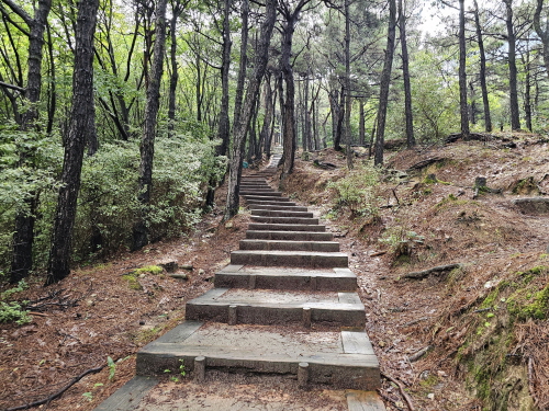 남원 가볼만한 곳- 애기봉에서 맨발걷기, 산책, 등산하세요