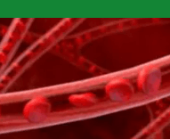 심혈관질환예방