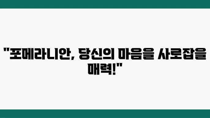정기적인 건강 관리가 필요한 포메라니안