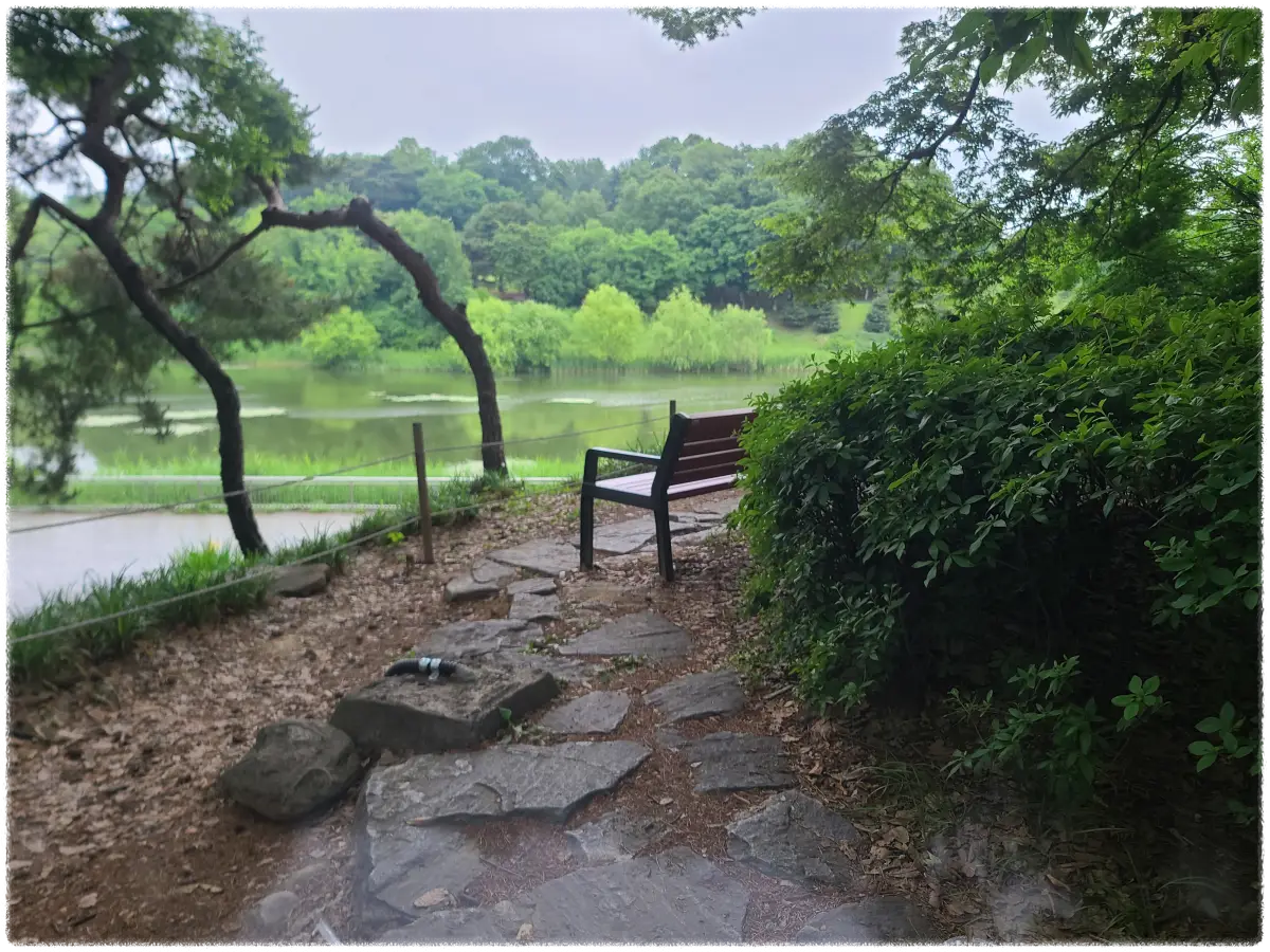 초록색-나무들-사이에-있는-호수와-의자