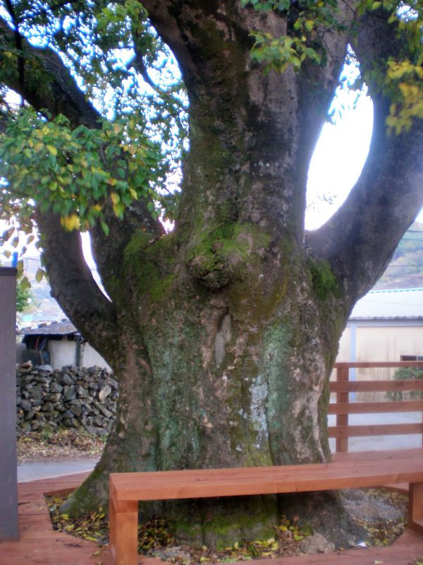 기장군 철마면 이곡마을