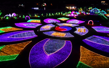 태안 네이처월드 빛축제 꽃정원