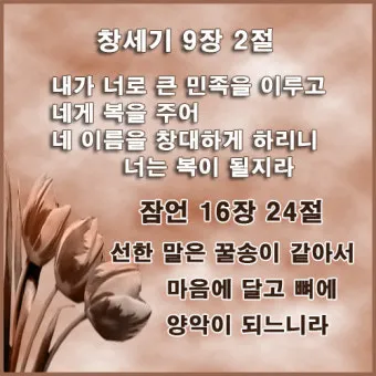 창세기 9장 노아와 하나님의 영원한 언약 약속에 대한 묵상과 기도_14