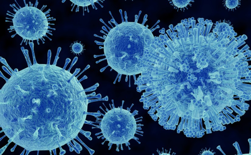 노로바이러스에 대한 모든 것