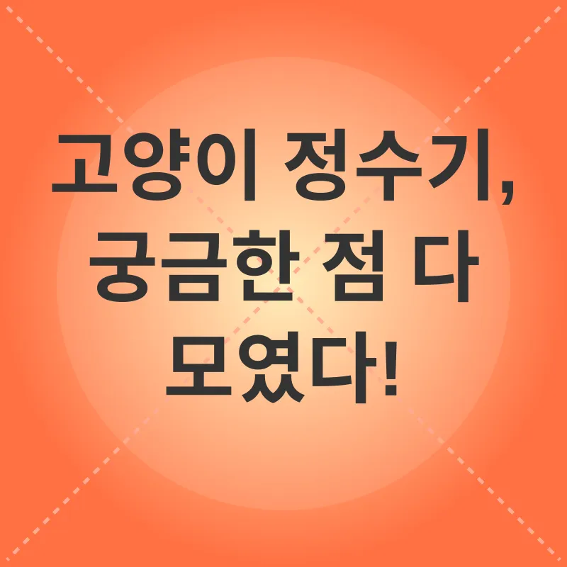 고양이 정수기_4