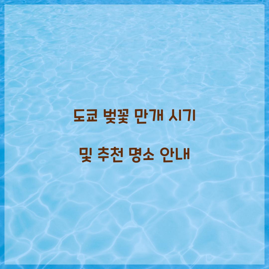 도쿄 벚꽃 만개