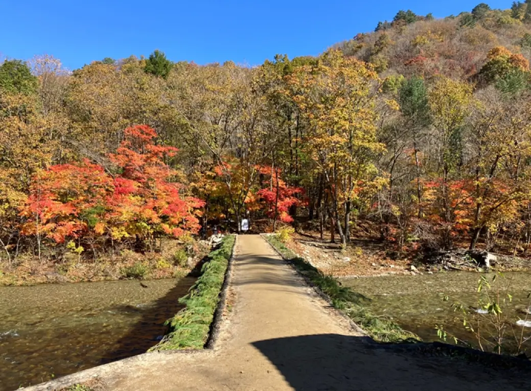 예쁜 단풍 구경하기 좋은 곳, 단풍 시작 시기, 절정시기