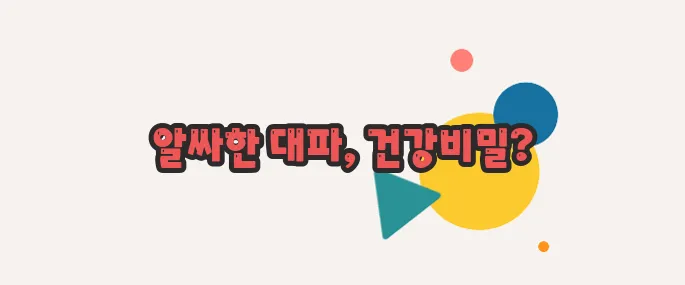대파 효능 정확히 짚어볼게요