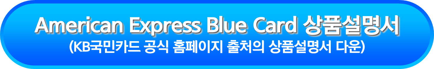American Express Blue Card 상품설명서