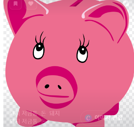 민생회복 소비쿠폰 관련 사진