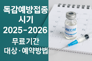 독감예방접종 시기