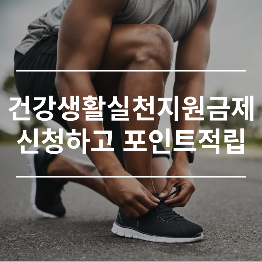 건강생활실천지원금제