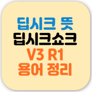 딥시크 뜻 딥시크쇼크 뜻 V3 R1