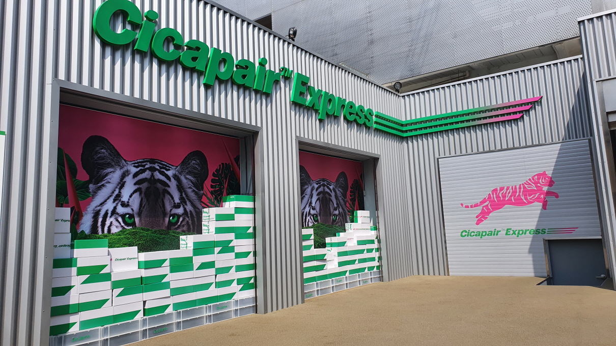 신사동시카페어-4